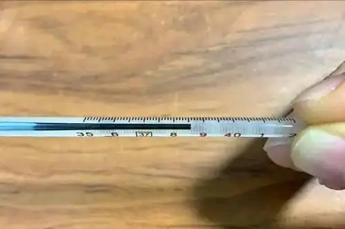 图片细节